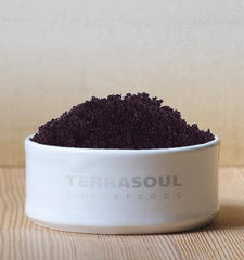 Terrasoul Acai Powder smoothie bowl showing vibrant color and nutrition.