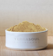 Terrasoul Camu Camu powder scoop ready to add to juice or yogurt.