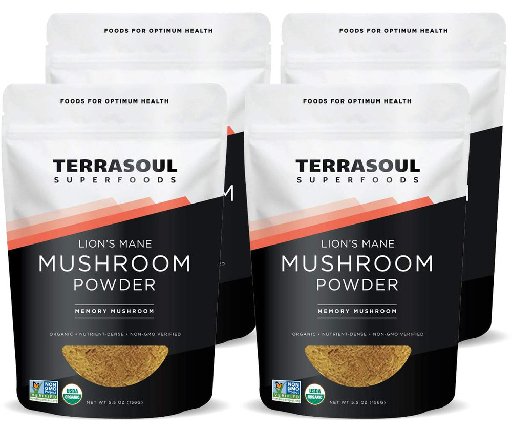 Terrasoul Lion's Mane powder bottle front for daily wellness routines.