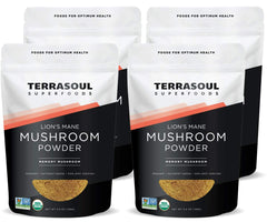 Terrasoul Lion's Mane powder bottle front for daily wellness routines.