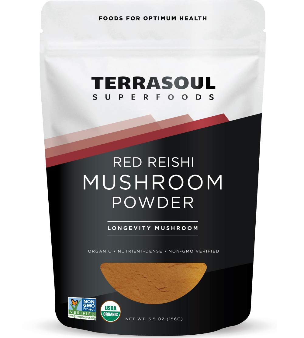Terrasoul Reishi powder bottle close-up highlighting potential immune resilience.