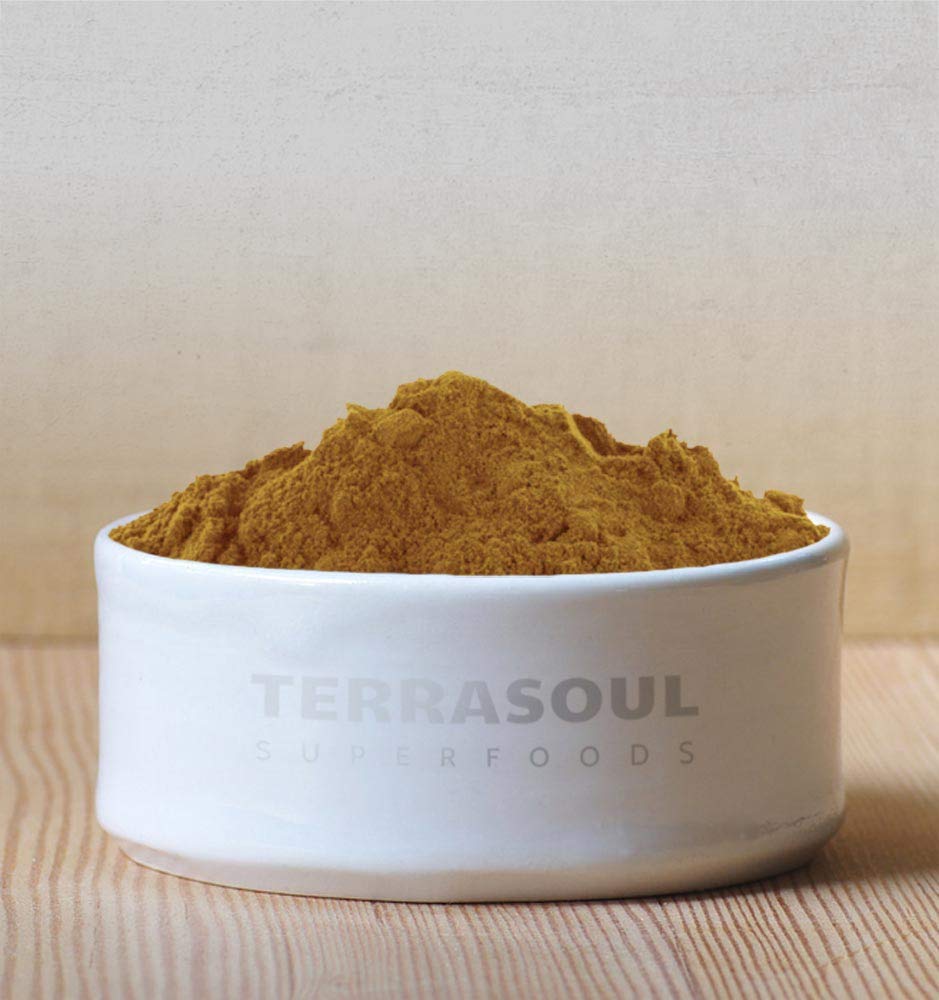 Terrasoul Reishi powder scoop with pouch demonstrates daily dose flexibility.