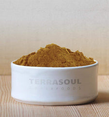 Terrasoul Reishi powder scoop with pouch demonstrates daily dose flexibility.