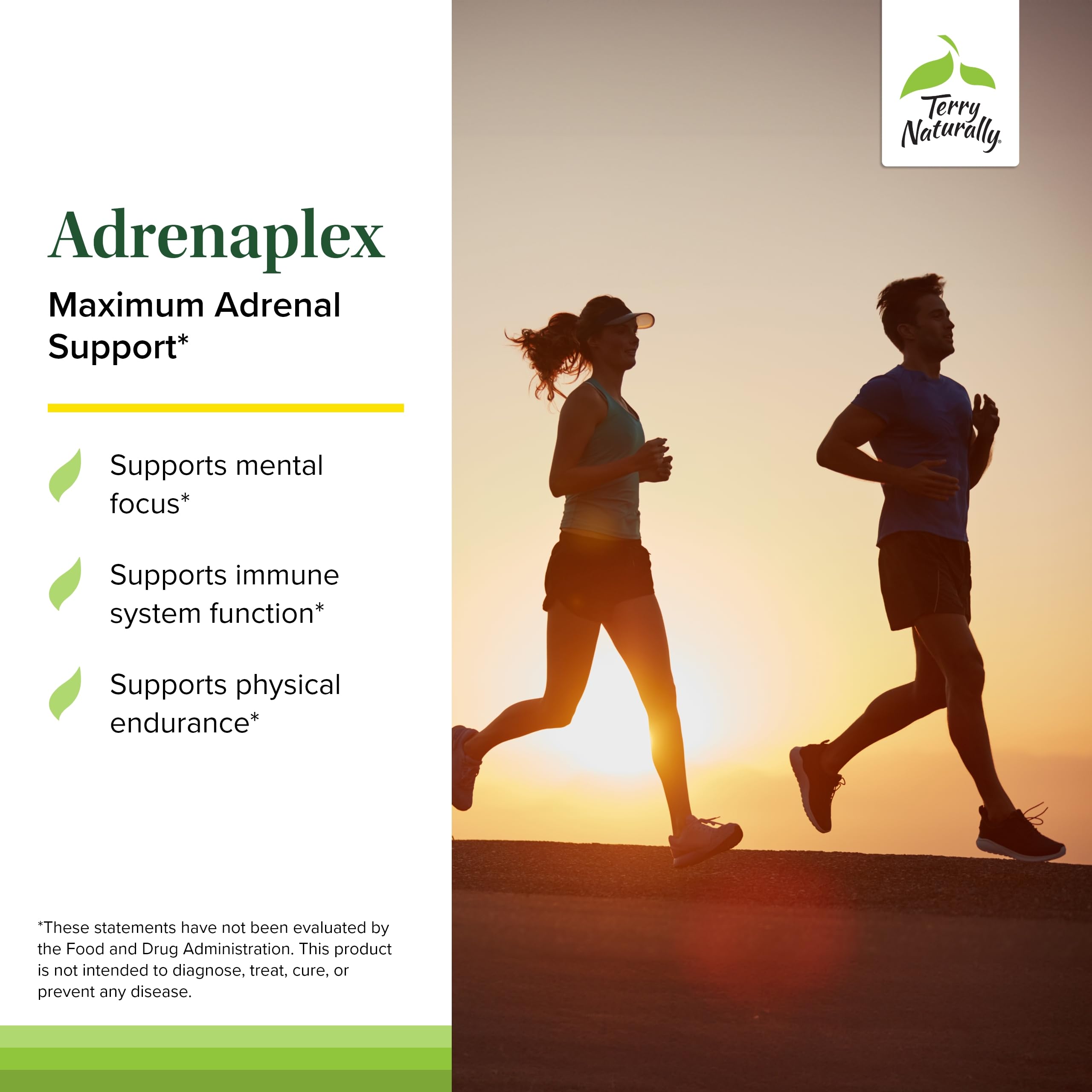 Terry Naturally Adrenaplex label close-up displaying DHEA and L-tyrosine ingredients.