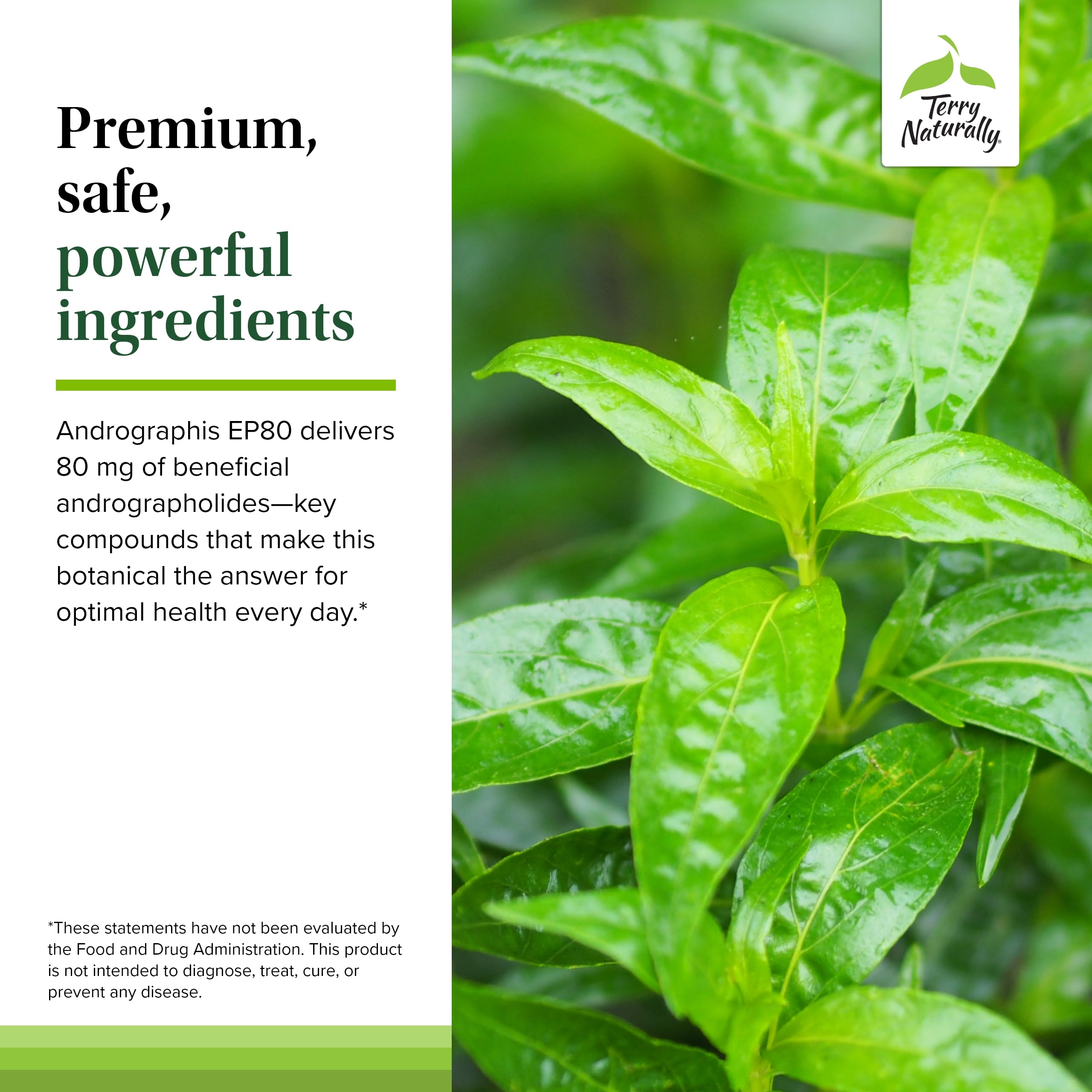Terry Naturally Andrographis EP80 immune support concept on packaging.