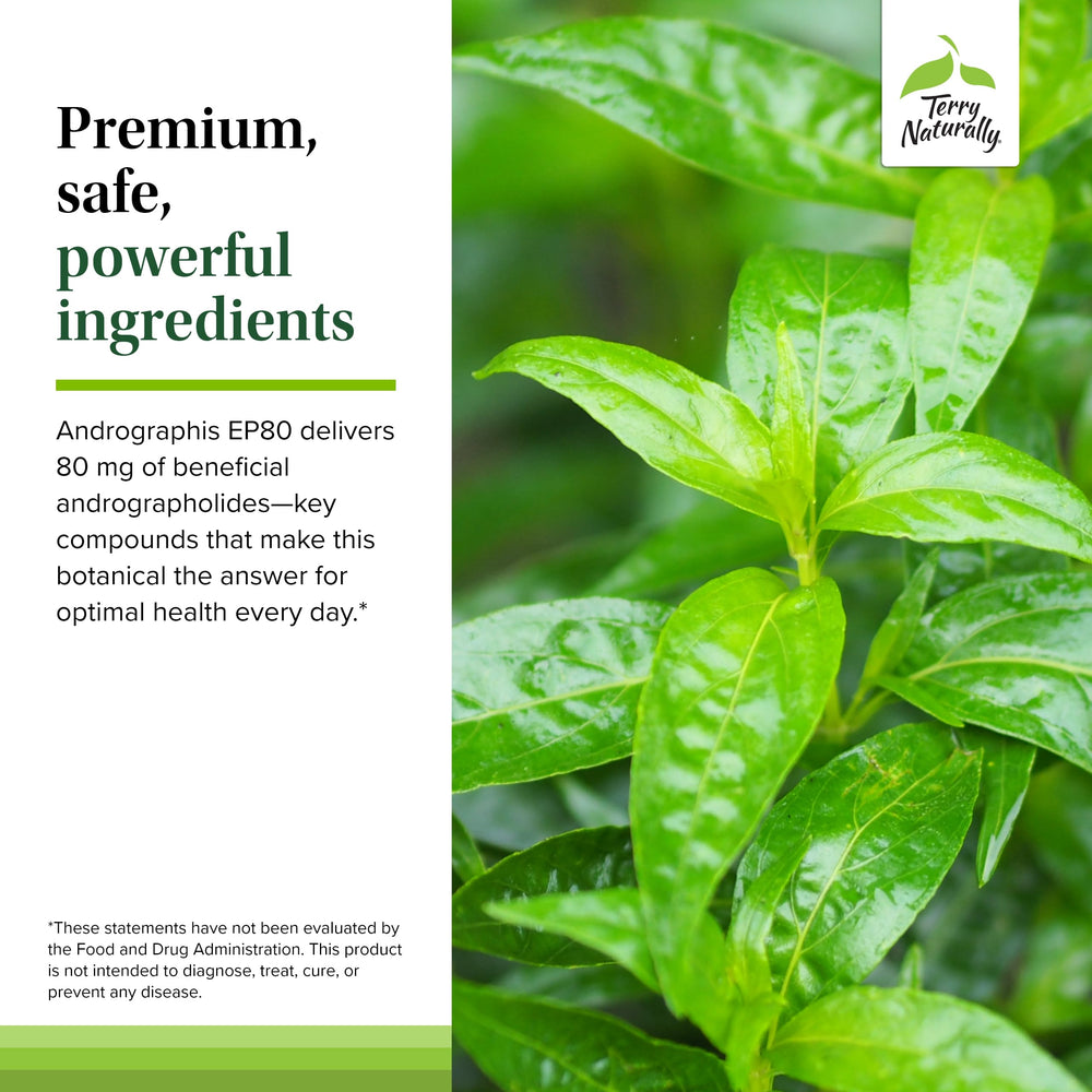 Terry Naturally Andrographis EP80 immune support concept on packaging.