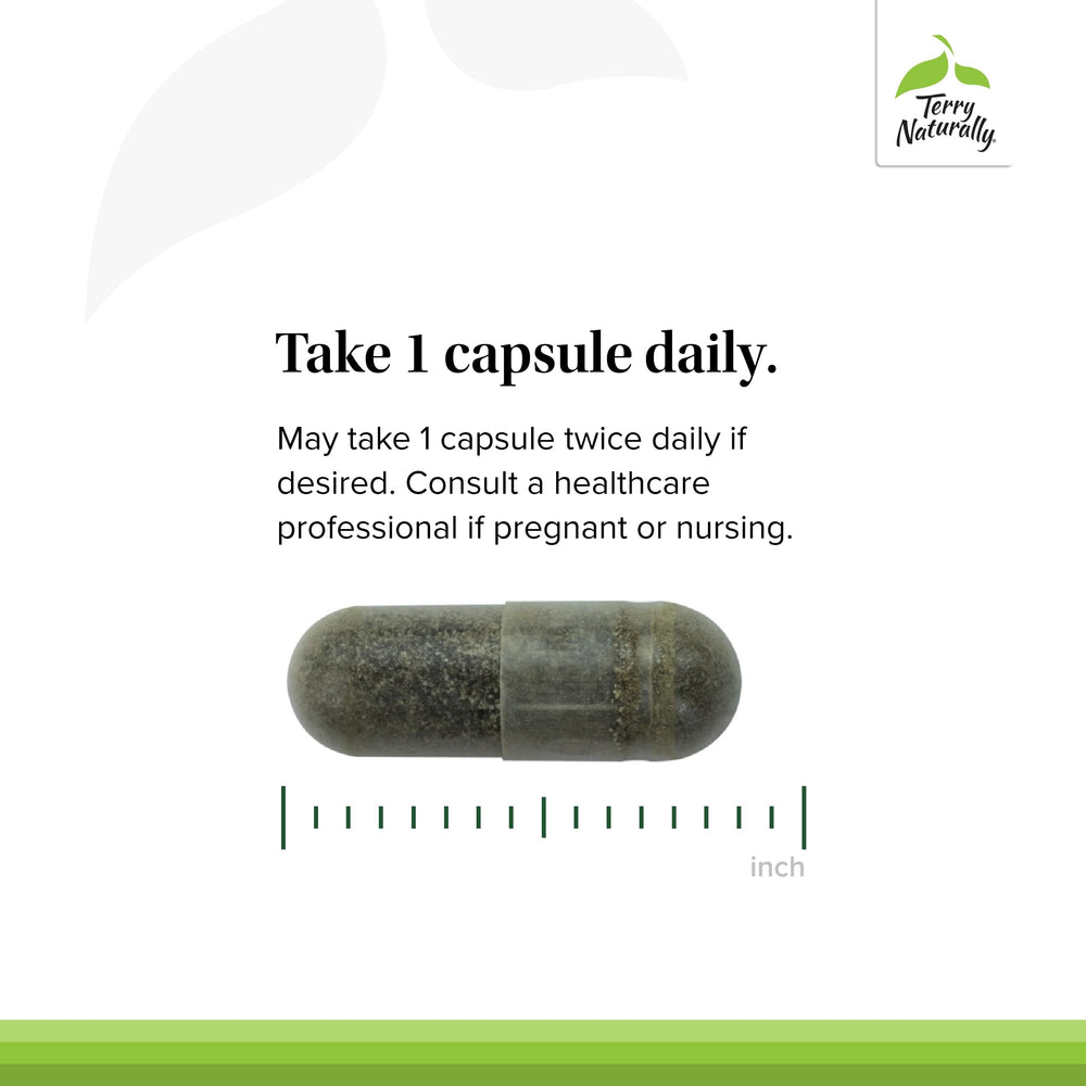 Terry Naturally Andrographis EP80 vegan capsules suitable for plant-based diets.