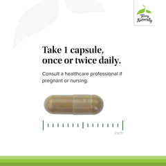 Terry Naturally Ashwagandha EP35 box packaging shows labeling and ingredients at a glance
