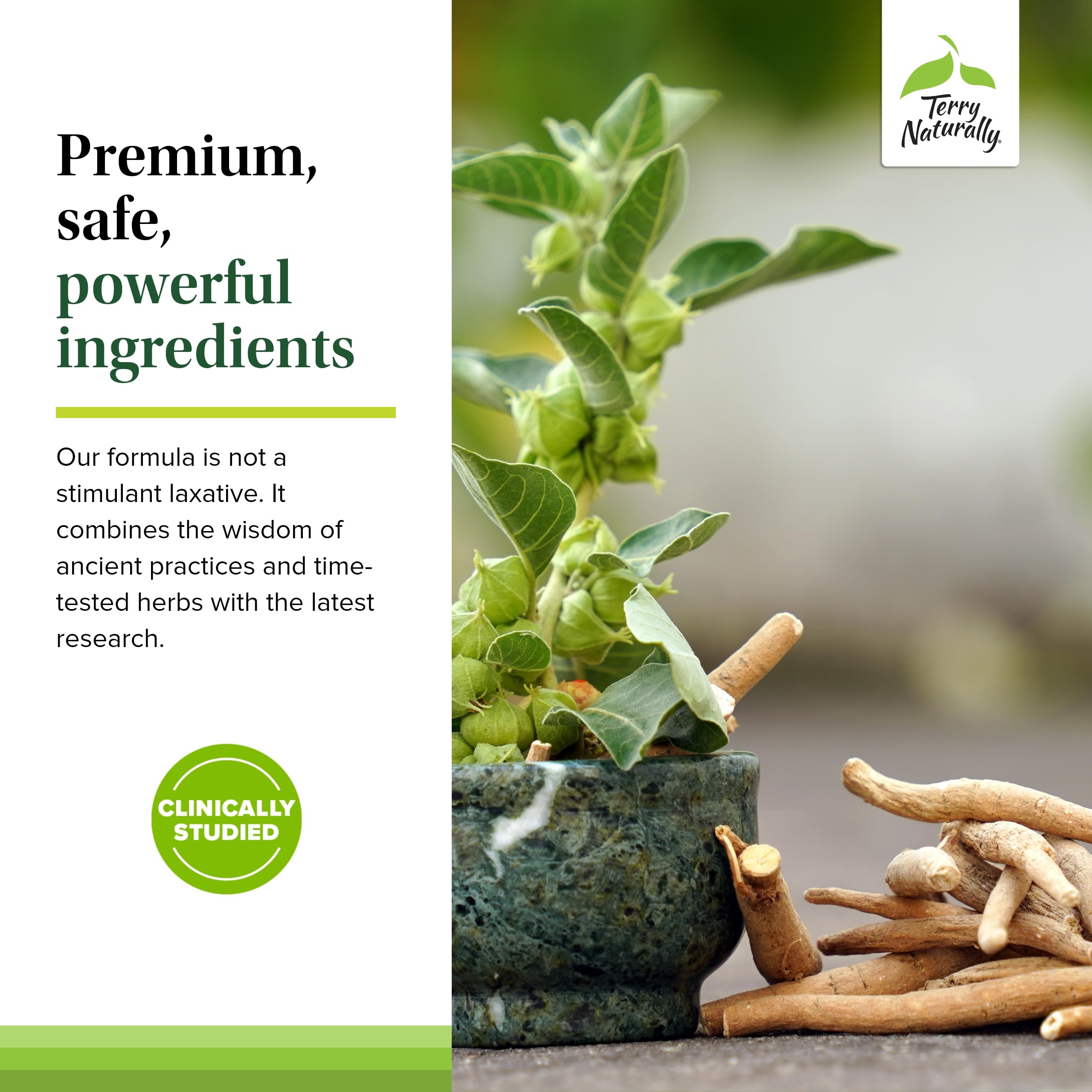Capsule closeup of Terry Naturally Ayurvedic Digestive Formula emphasizes a gentle digestion blend.