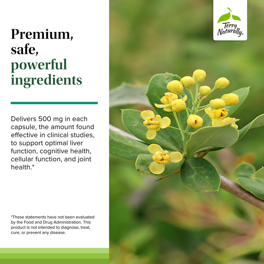 Terry Naturally Berberine capsules in bottle show no artificial additives.