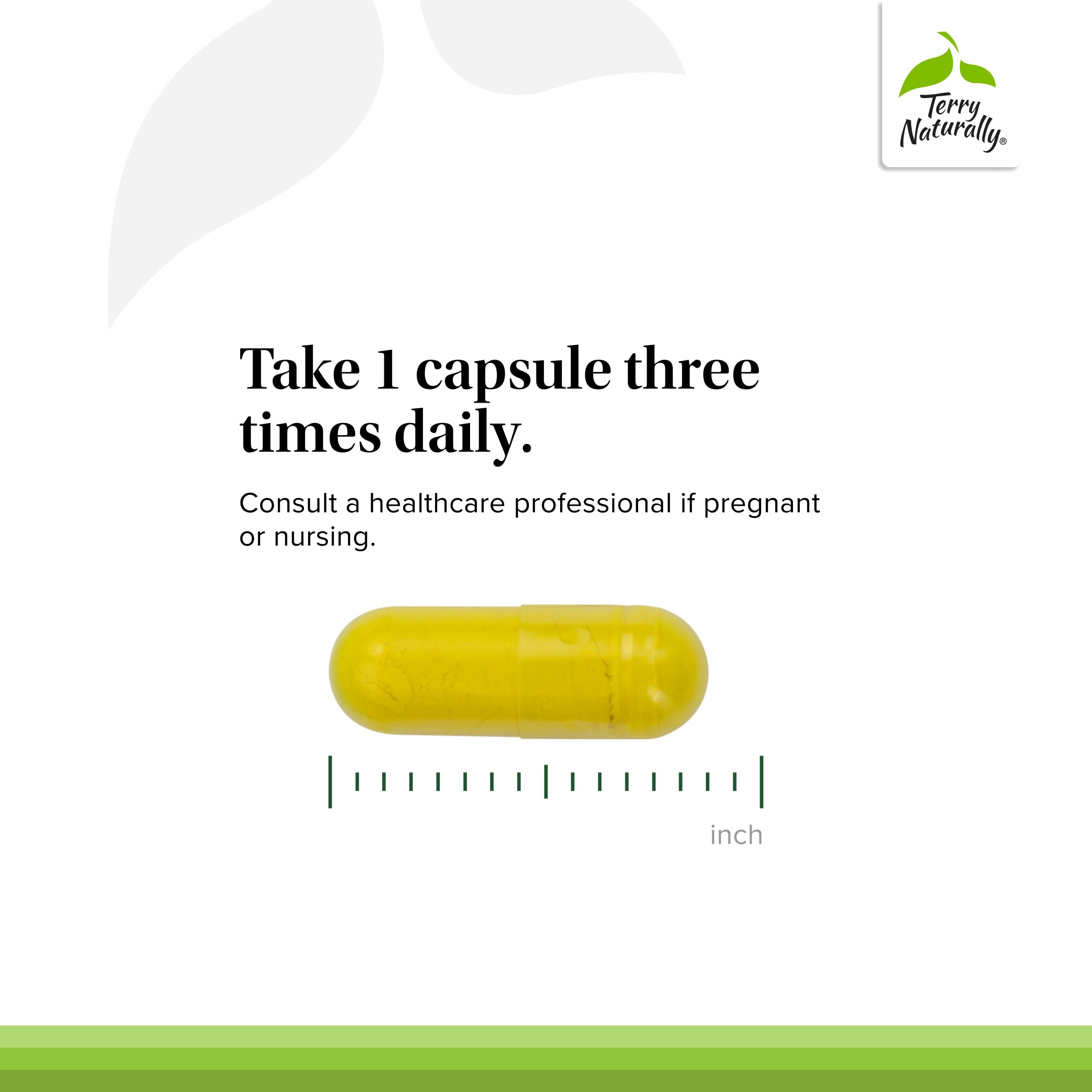 Boxed Terry Naturally Berberine packaging for daily supplement routine.