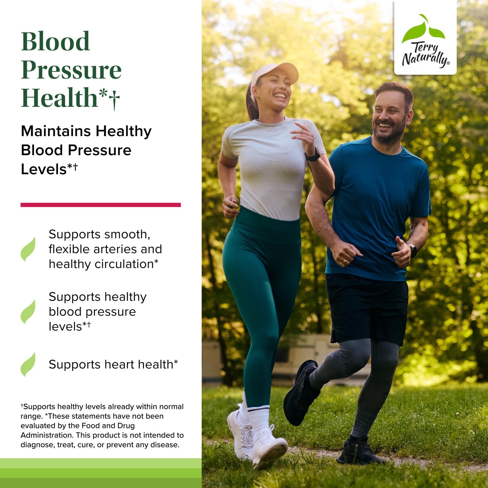 Terry Naturally Blood Pressure Health label detail showing antioxidants and serving size.