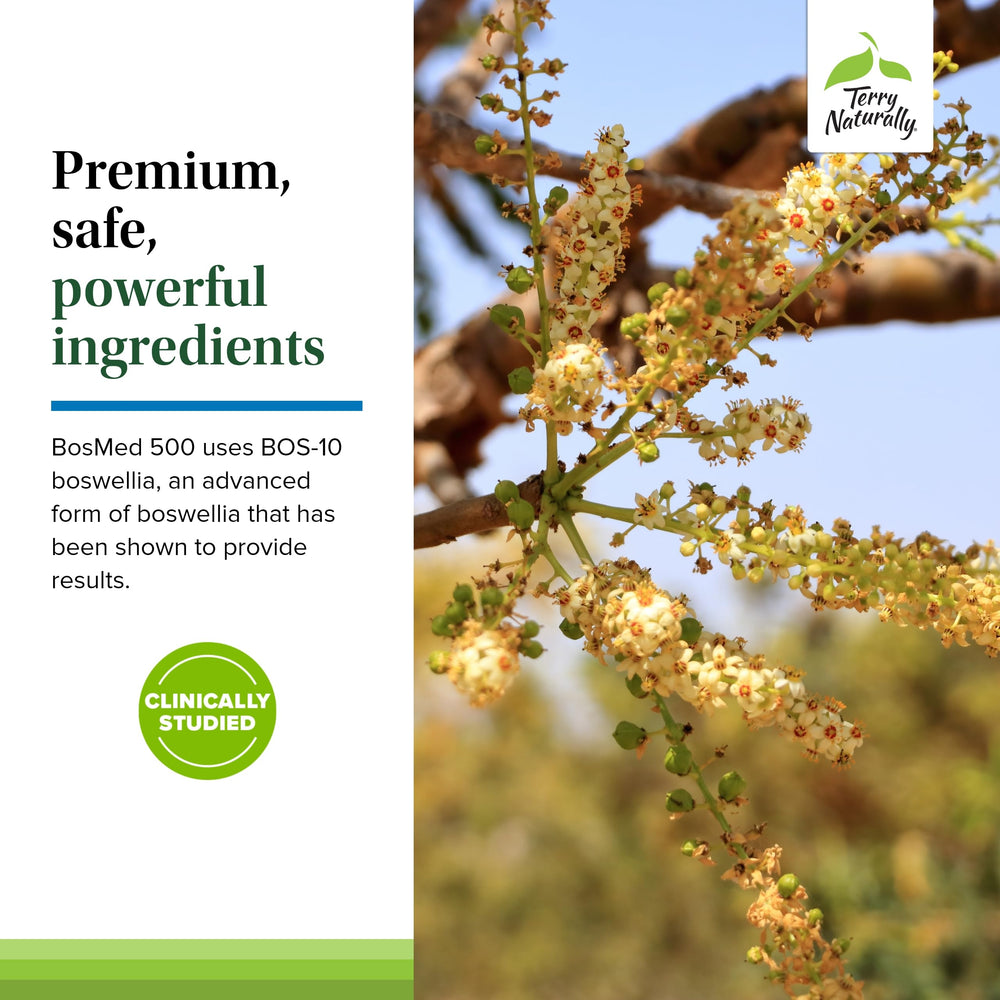 Terry Naturally BosMed 500 boswellia extract capsule showcases botanical wellness support.