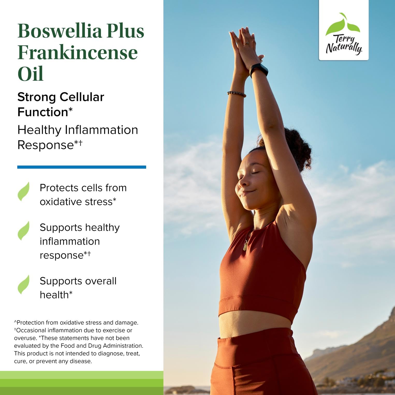 Label detail of Terry Naturally Boswellia Plus Frankincense Oil highlighting clean ingredients