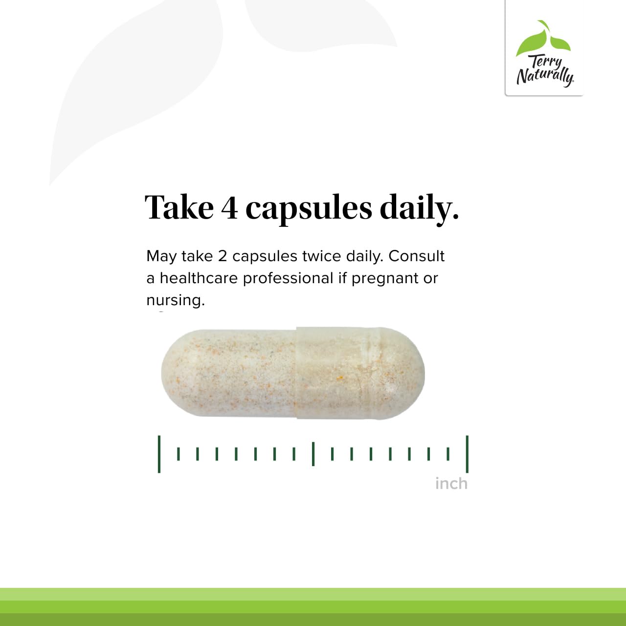 Terry Naturally chelated minerals graphic showing efficient absorption for daily energy support.