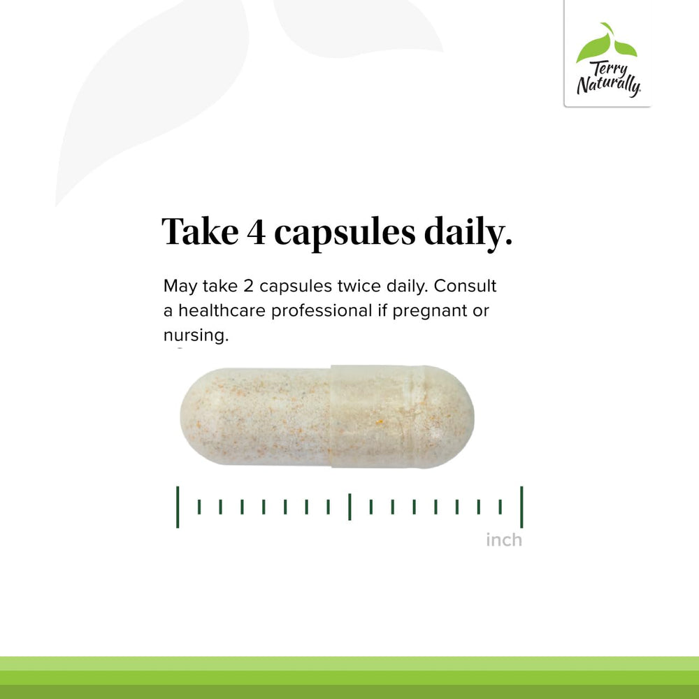 Terry Naturally chelated minerals graphic showing efficient absorption for daily energy support.