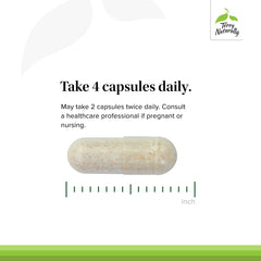 Terry Naturally chelated minerals graphic showing efficient absorption for daily energy support.