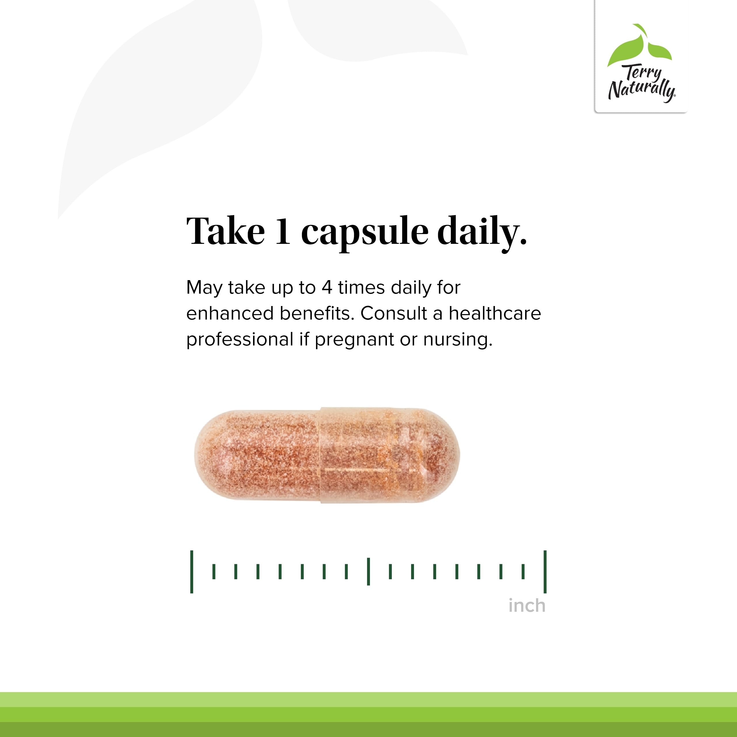 Back label view of Terry Naturally OPC shows allergen-friendly formula