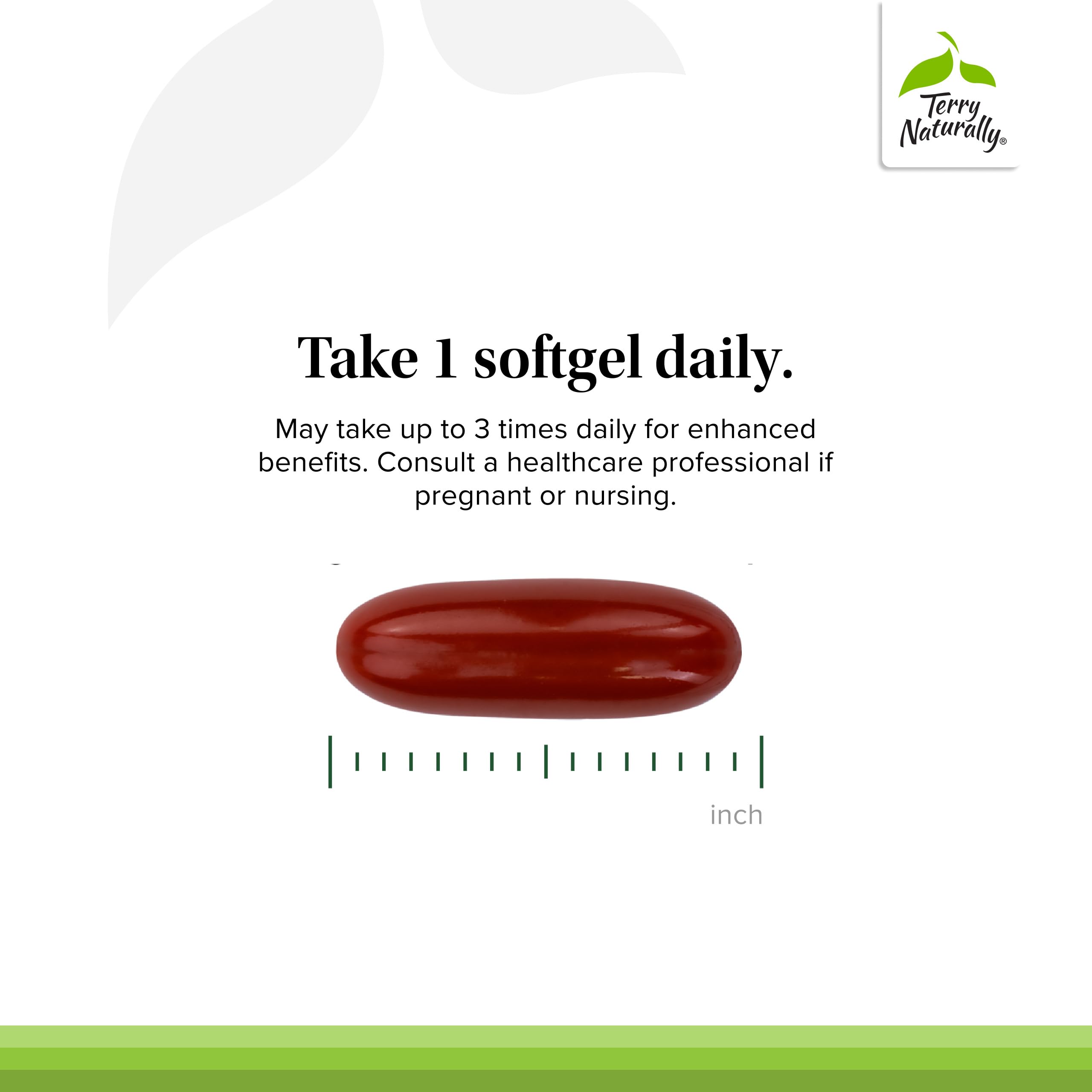 Terry Naturally OPC ingredients label shows clean formula with no artificial additives.