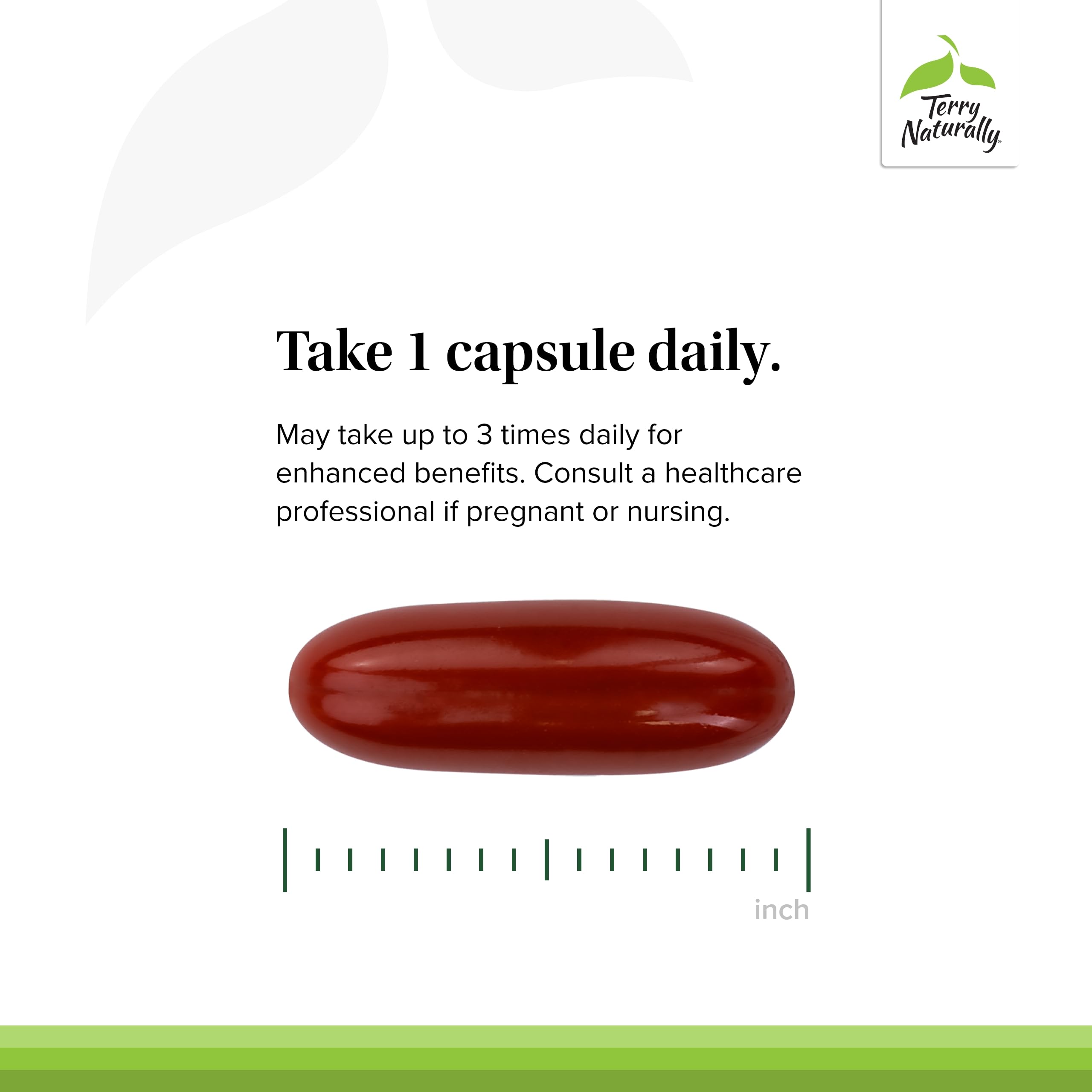 Terry Naturally OPC label shows no artificial additives for clean daily wellness.