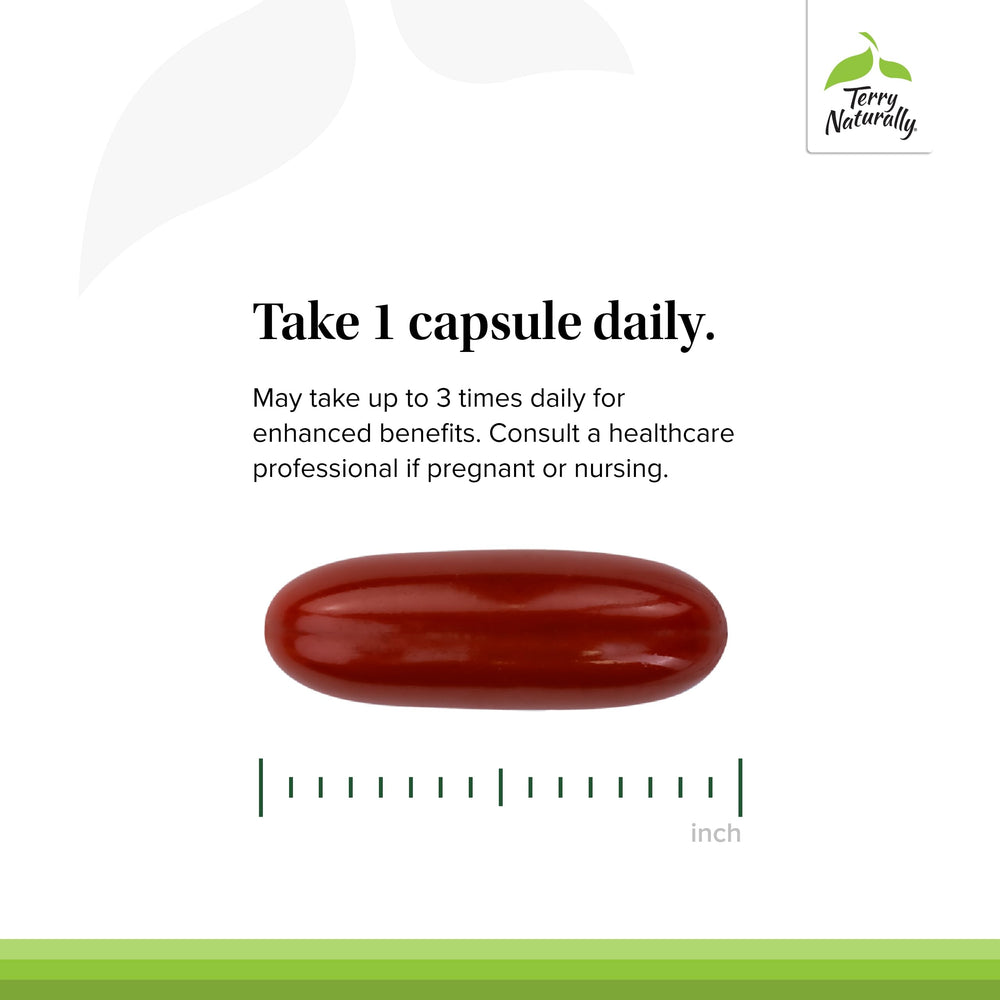Terry Naturally OPC label shows no artificial additives for clean daily wellness.