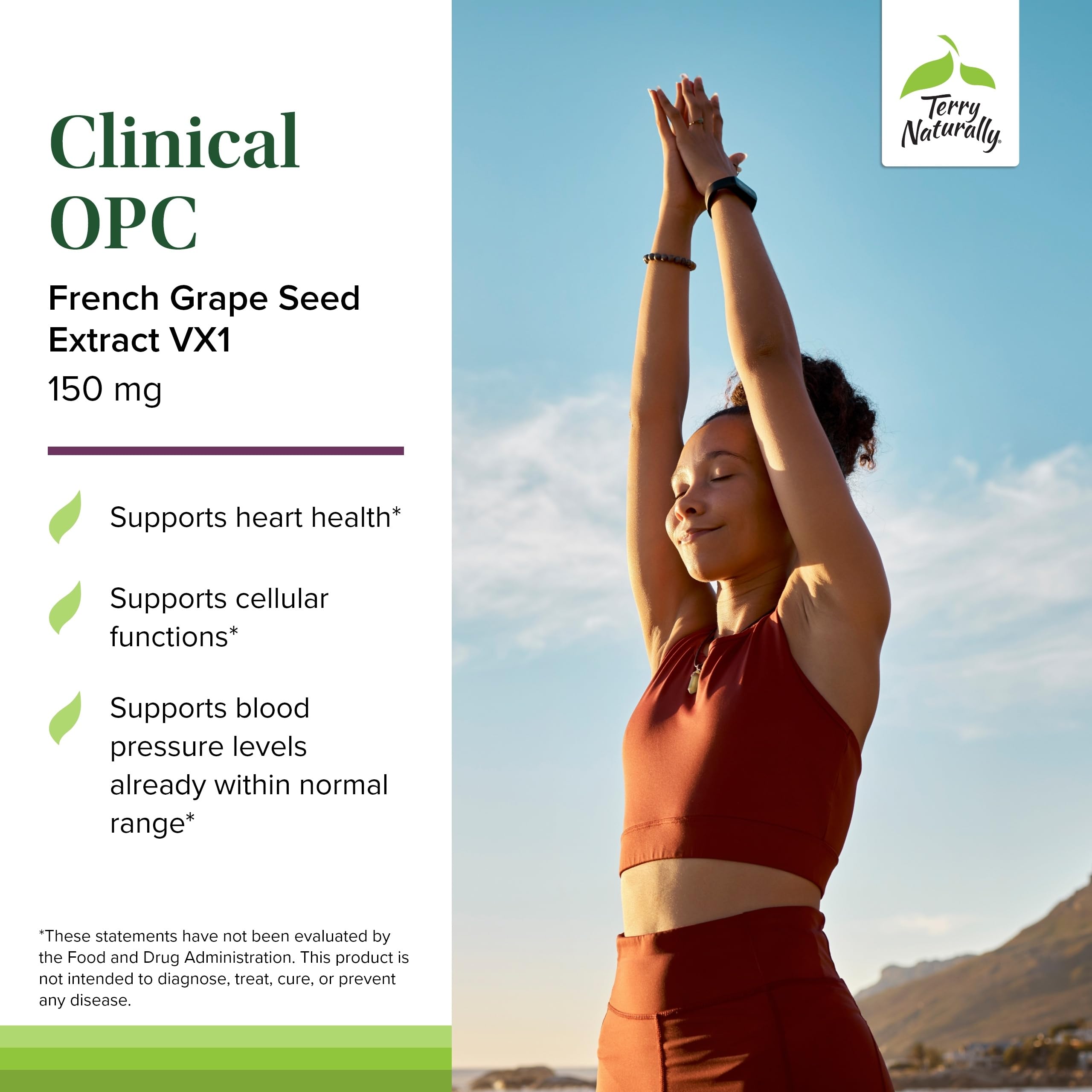 Graphic featuring sunflower lecithin and grape seed extract highlights key ingredients for absorption