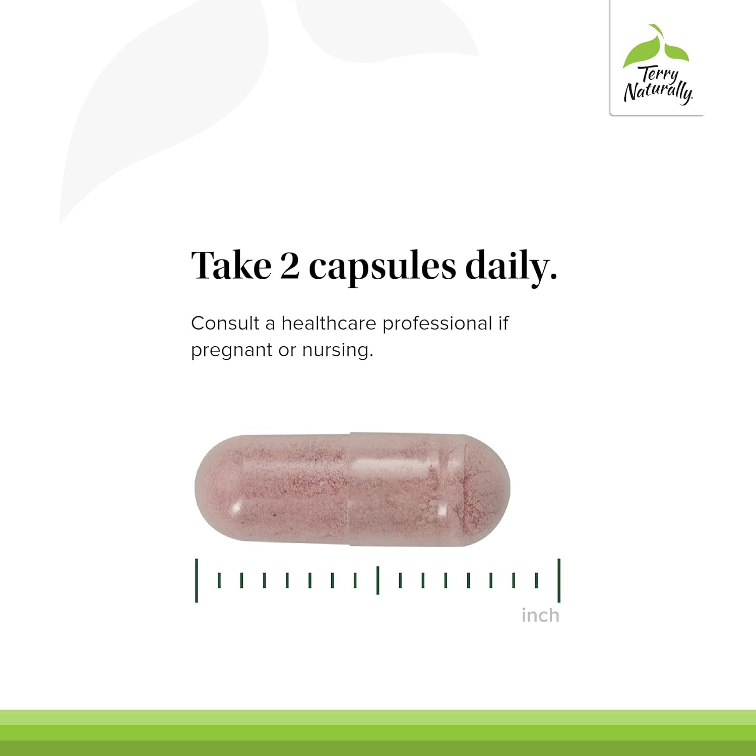 Cranberry illustration suggesting antioxidant-rich fruit in Terry Naturally formula.