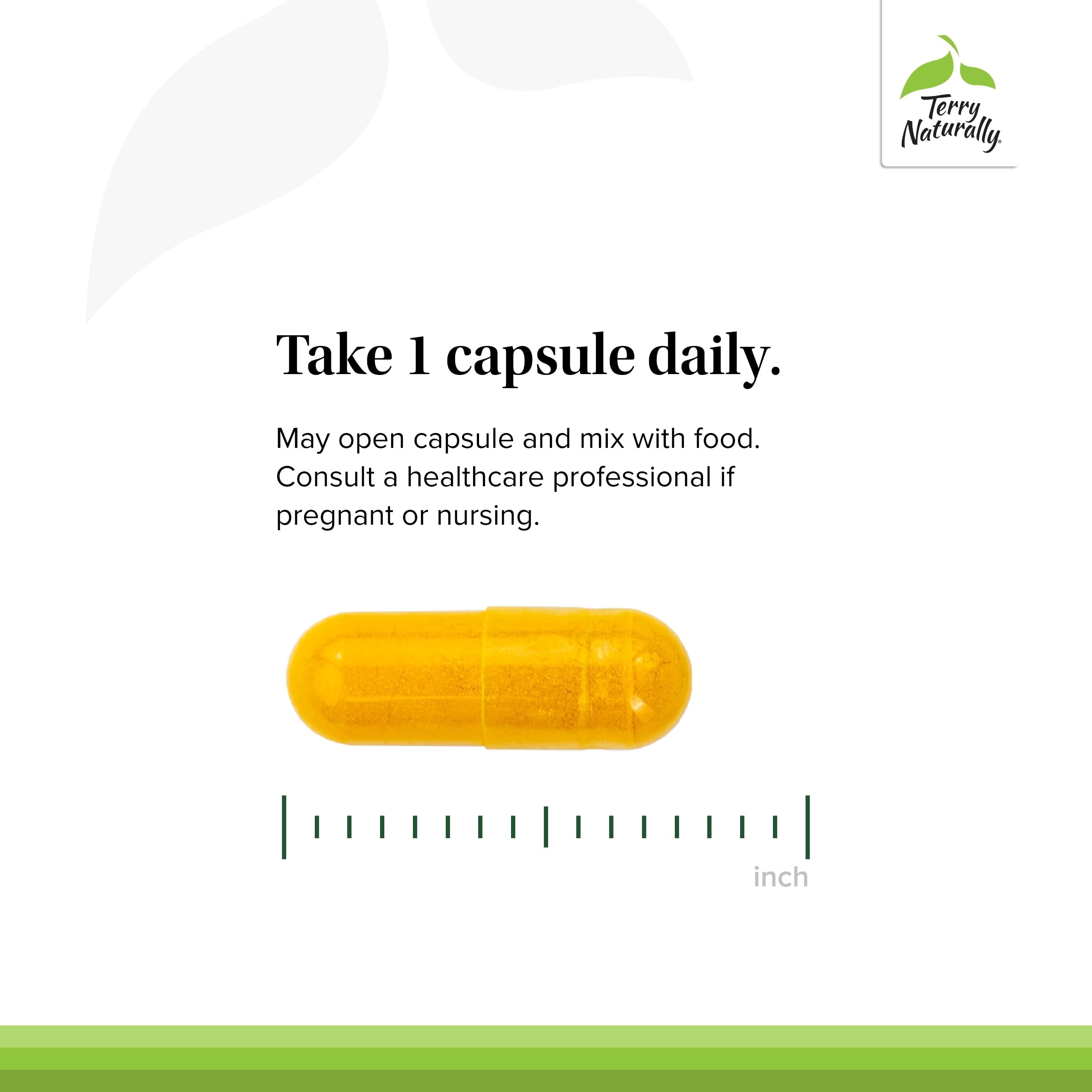 Terry Naturally CuraMed brain health graphic illustrating cognitive support.