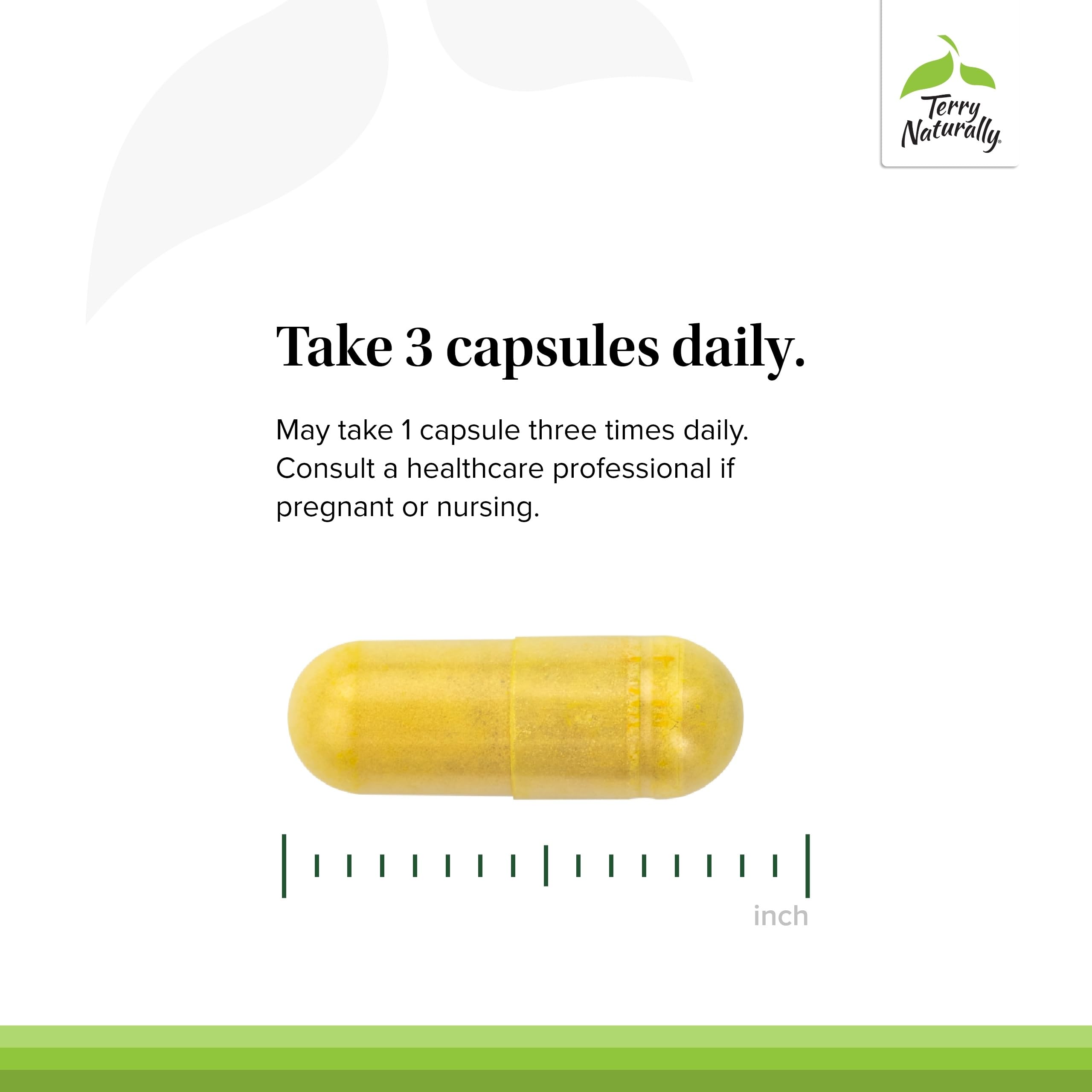 Terry Naturally Curamin DLPA highlights relaxation support in a supplement context.