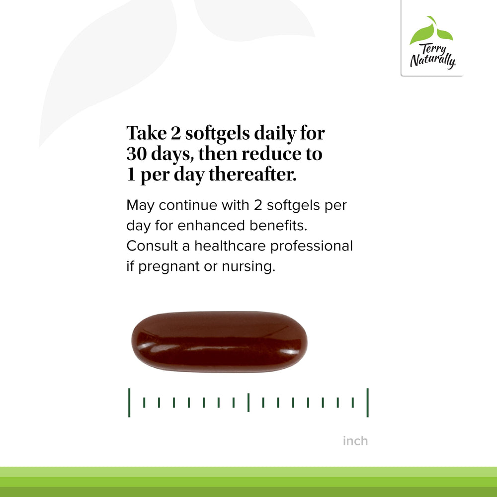 Two-pack display emphasizing value and ongoing support for hair health