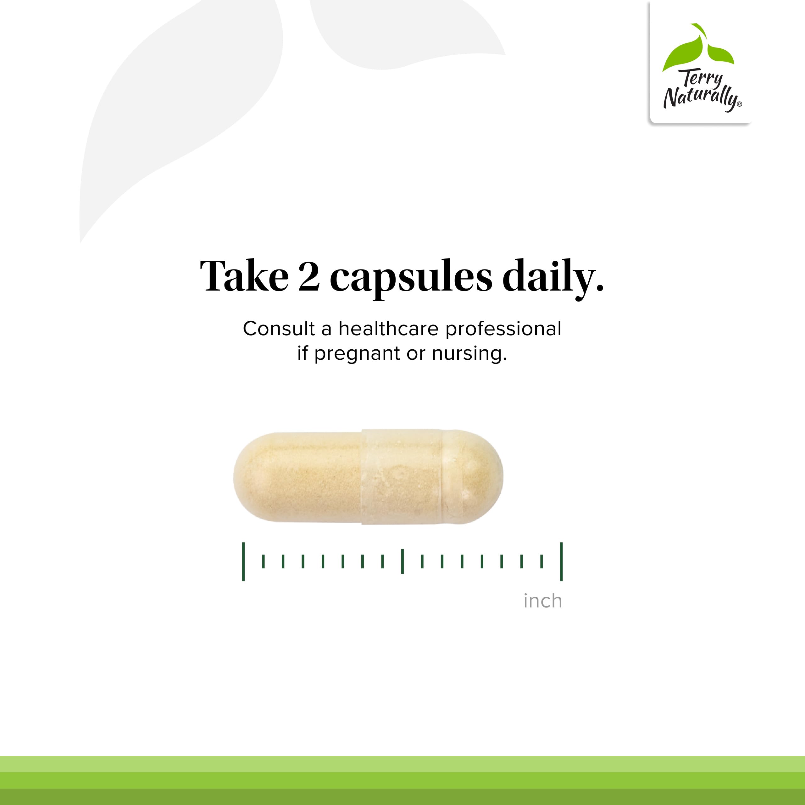 Terry Naturally Healthy Cholesterol with Amla label detail emphasizes allergen-free formulation