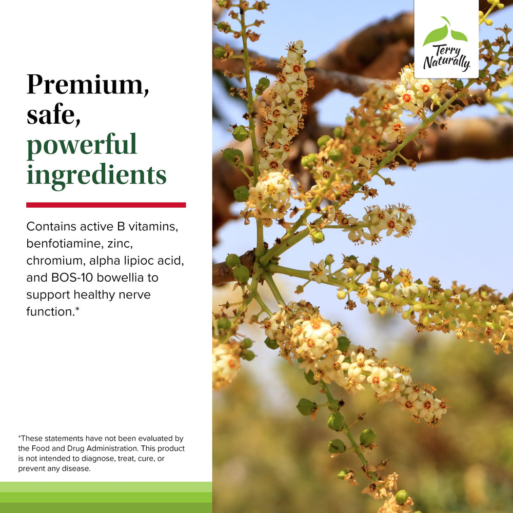 Terry Naturally Healthy Feet & Nerves capsules in hand for daily use.