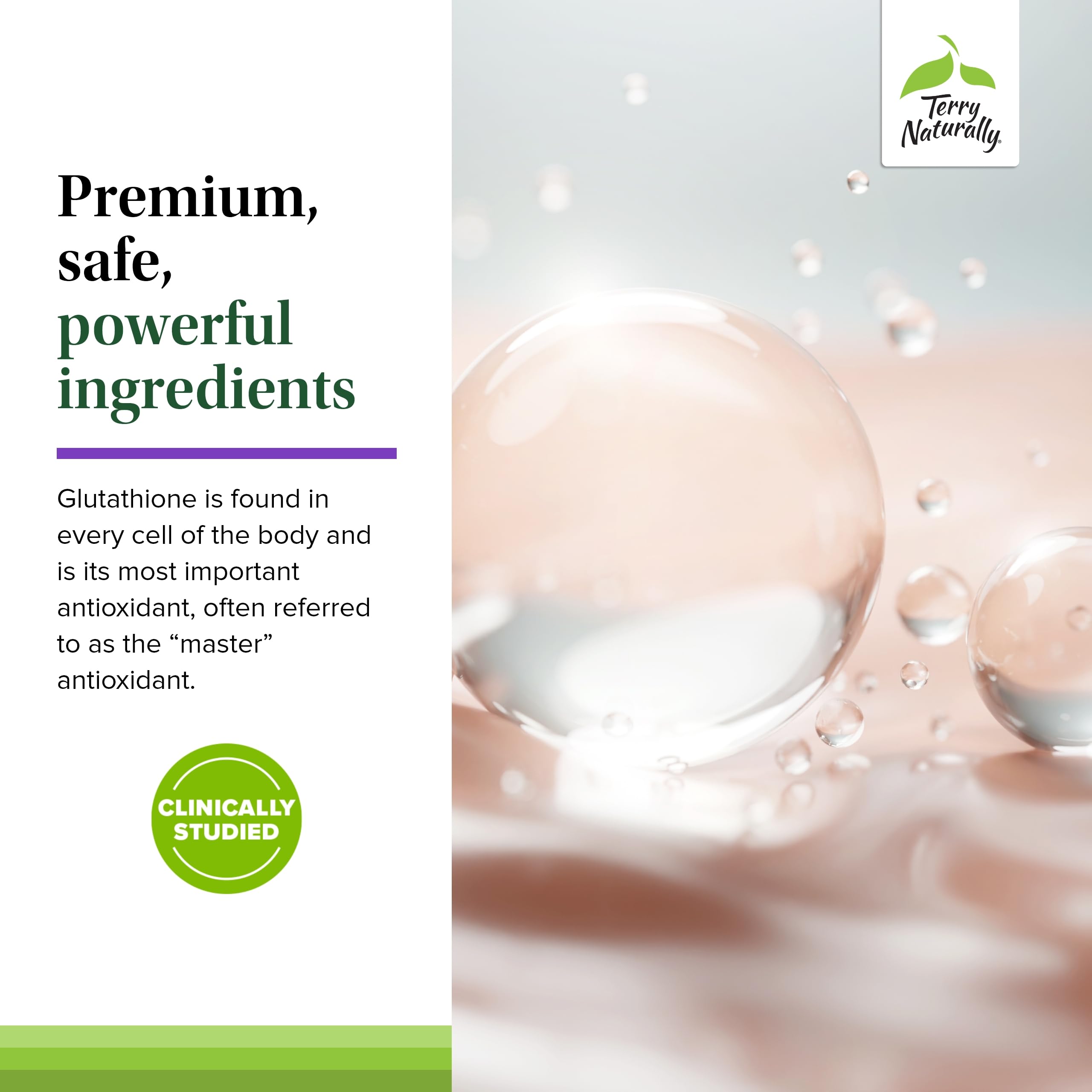 Label highlights allergen-friendly, clean ingredients and no artificial additives.