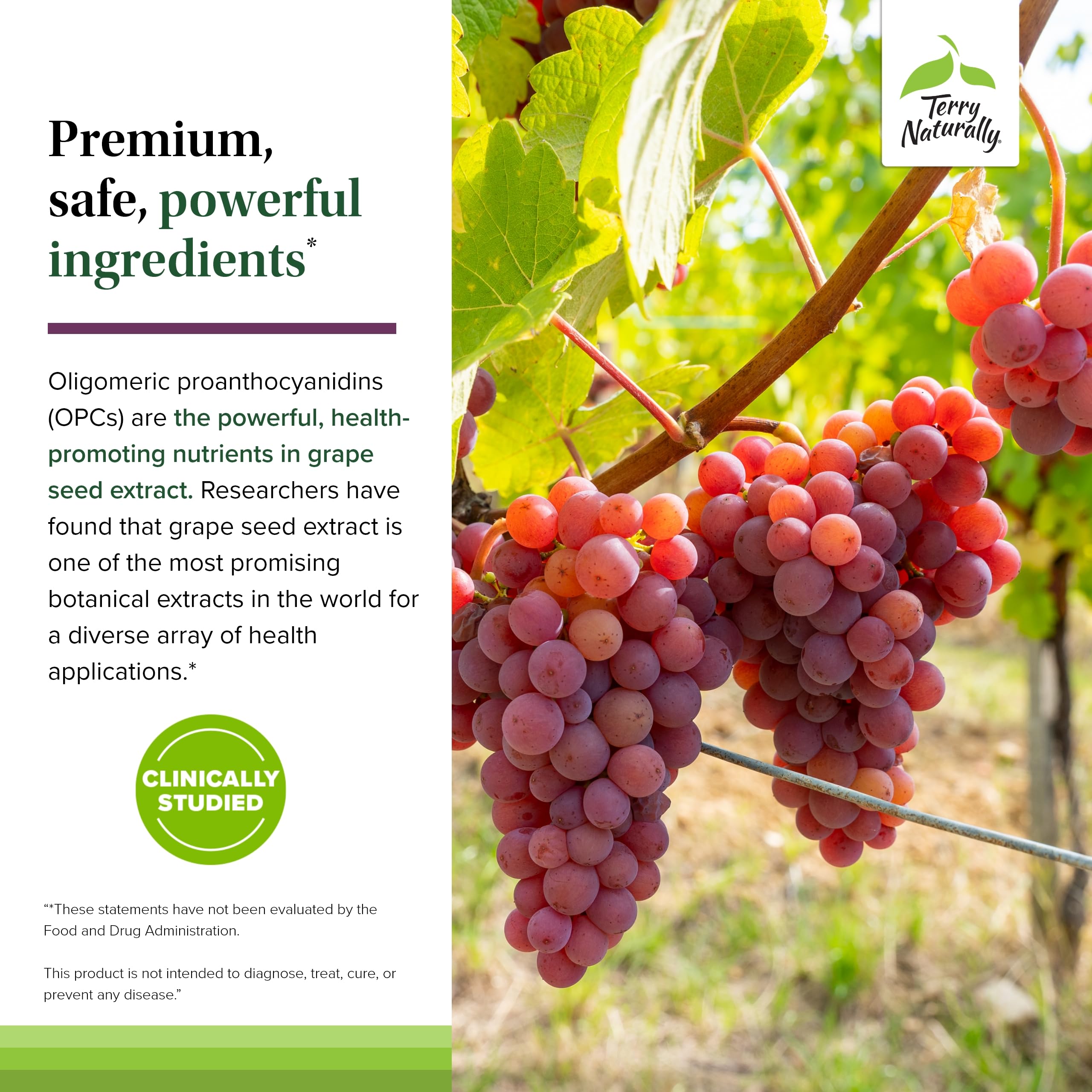 Panel of ingredients for Terry Naturally OPC Extra Strength with grape seed extract