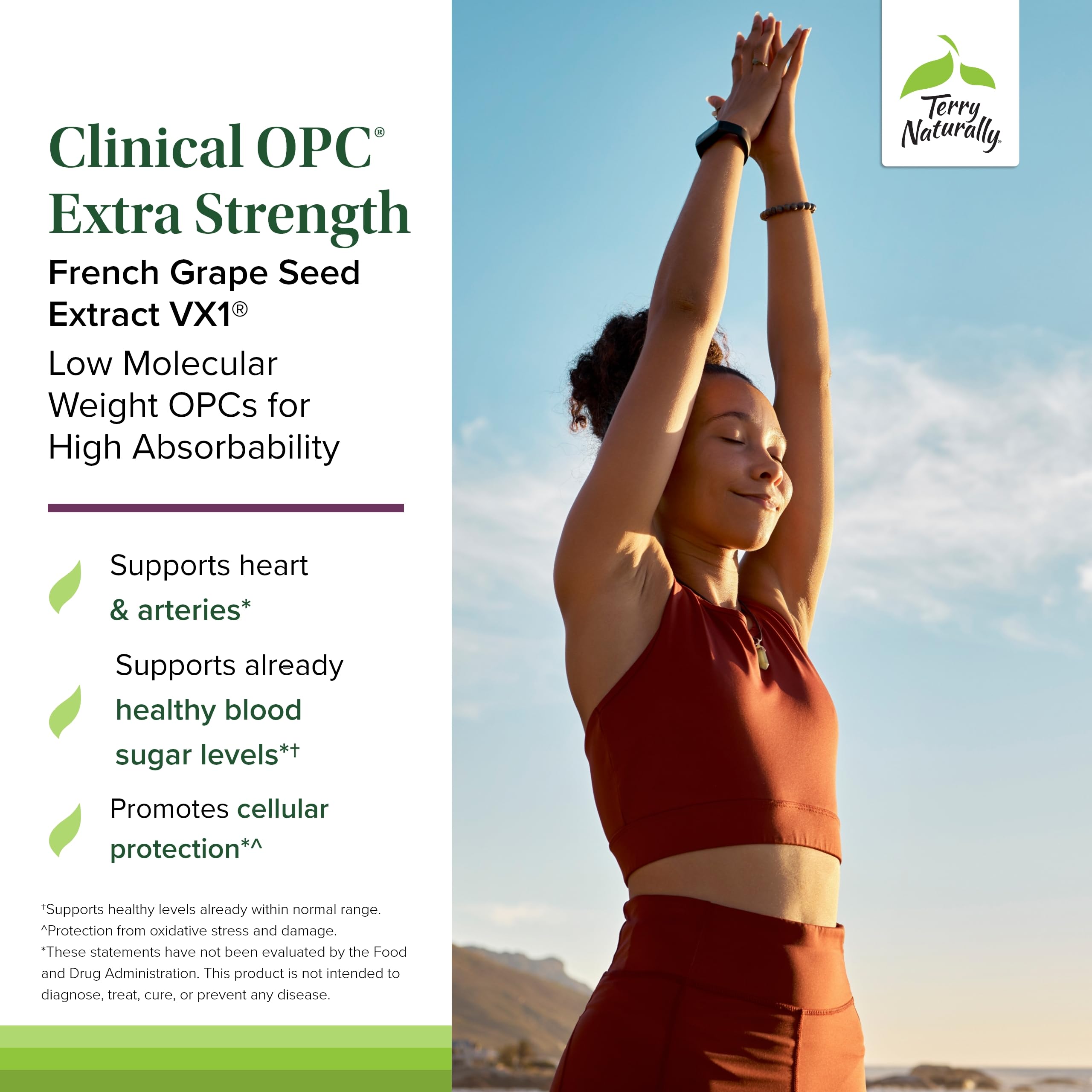 Close-up of Terry Naturally OPC softgels highlighting easy-to-swallow antioxidant capsules