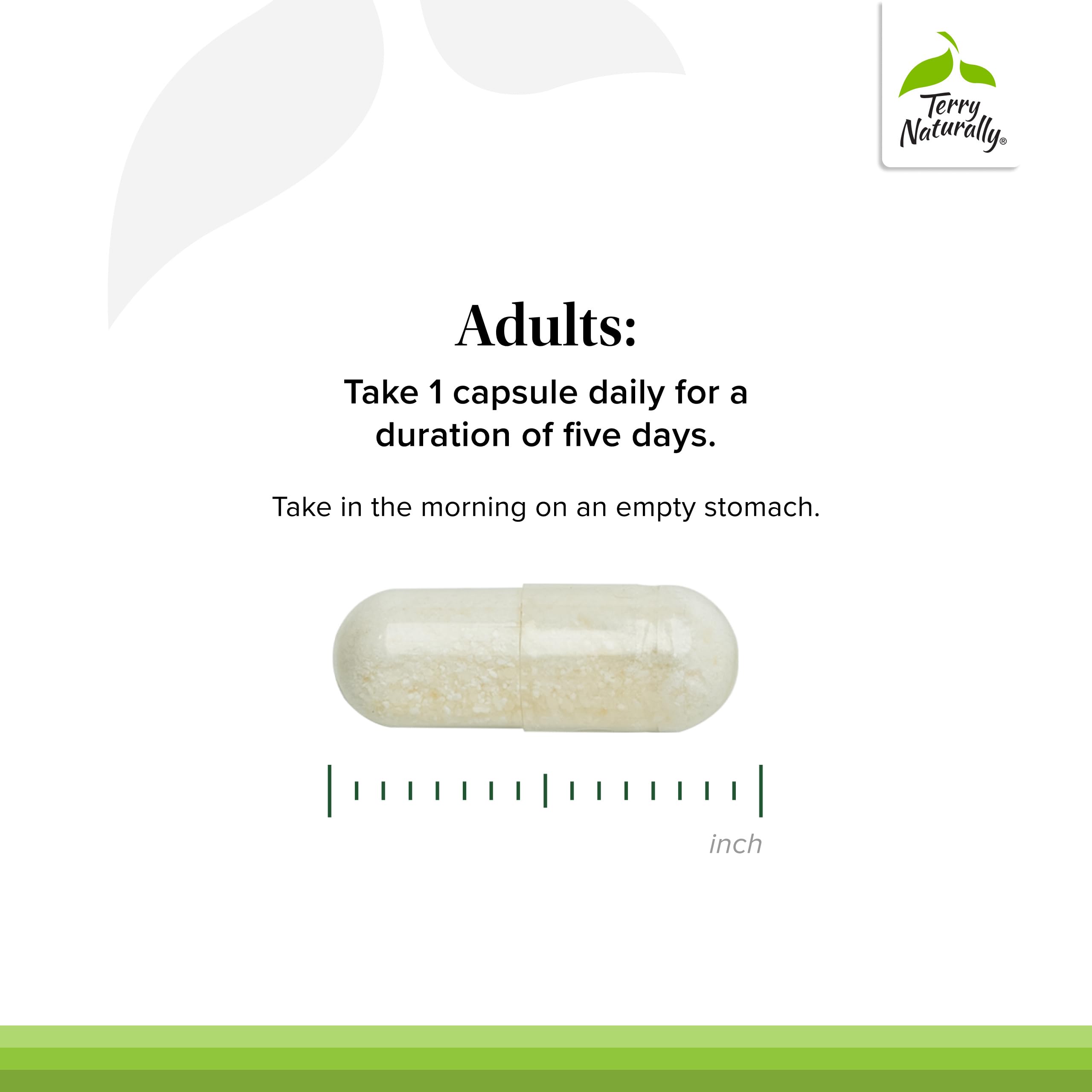 Oyster mushroom source illustration behind PleuraMax benefits.