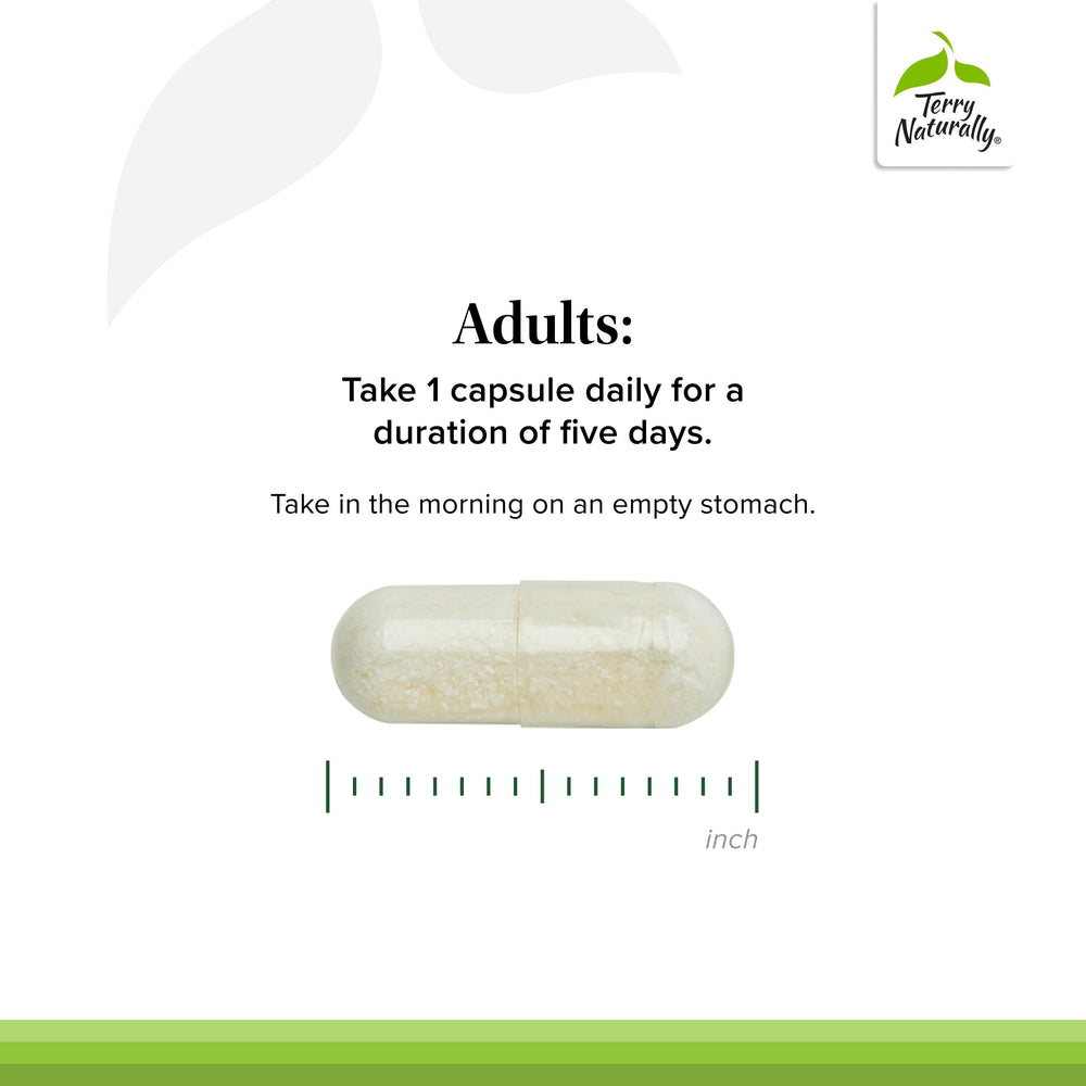 Oyster mushroom source illustration behind PleuraMax benefits.