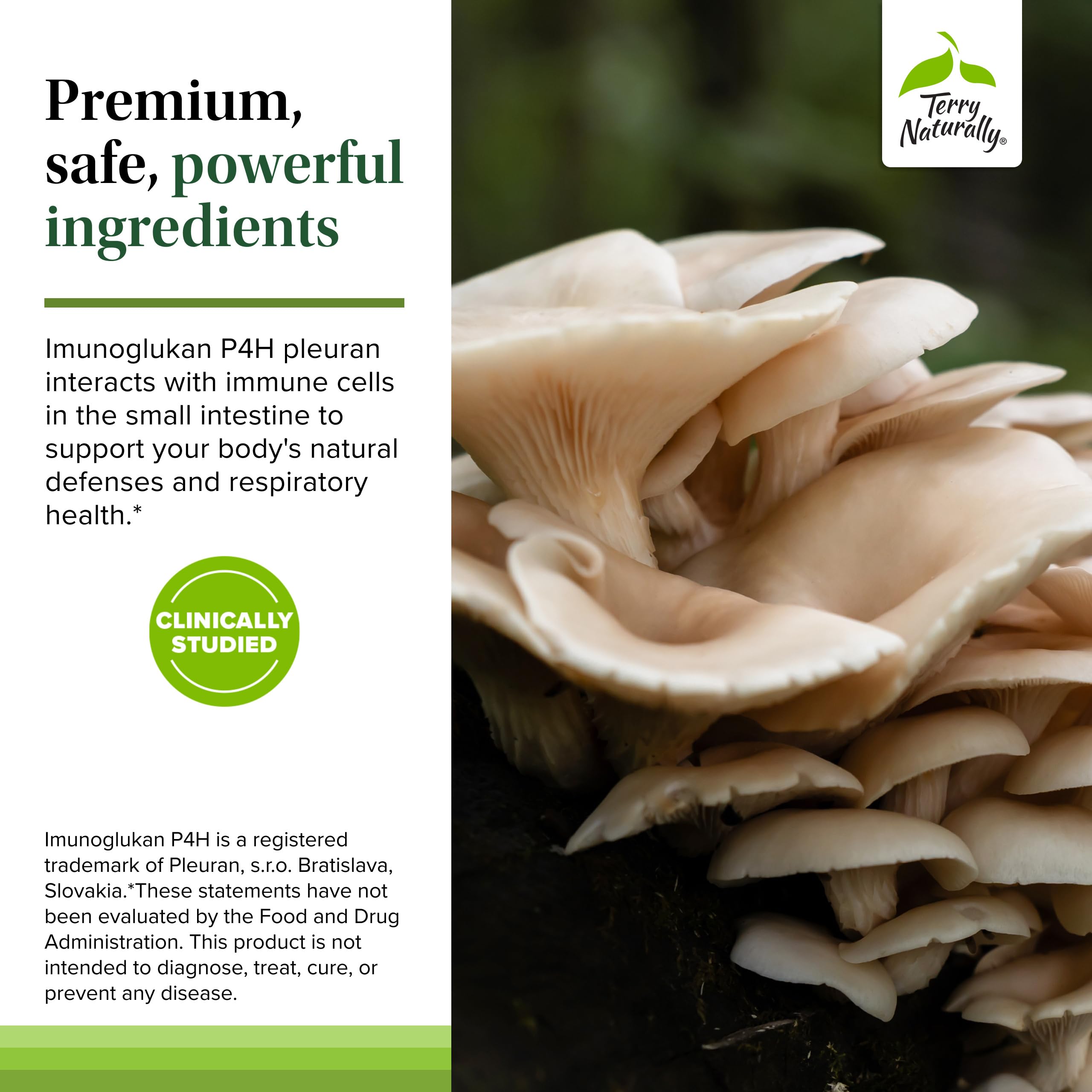 Vitamin C synergy with PleuraMax for immune support.