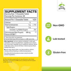 Terry Naturally Propolis Extract EP300 bottle and capsules indicate convenient daily immune support