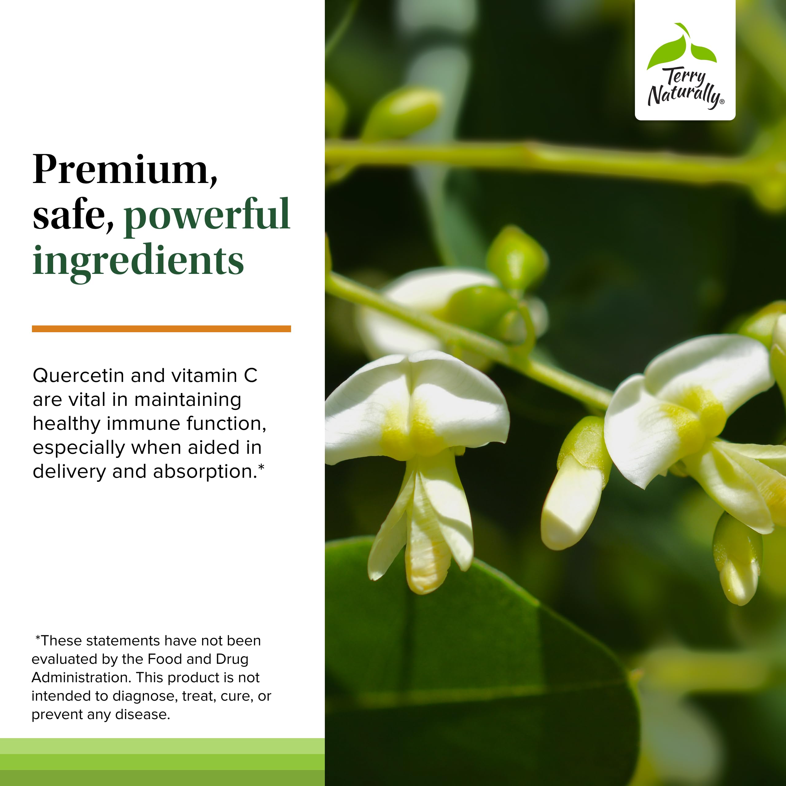 Terry Naturally Quercetin capsules on table for convenient daily use
