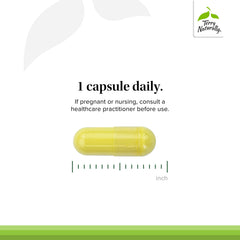 Terry Naturally Quercetin label closeup highlighting ingredients