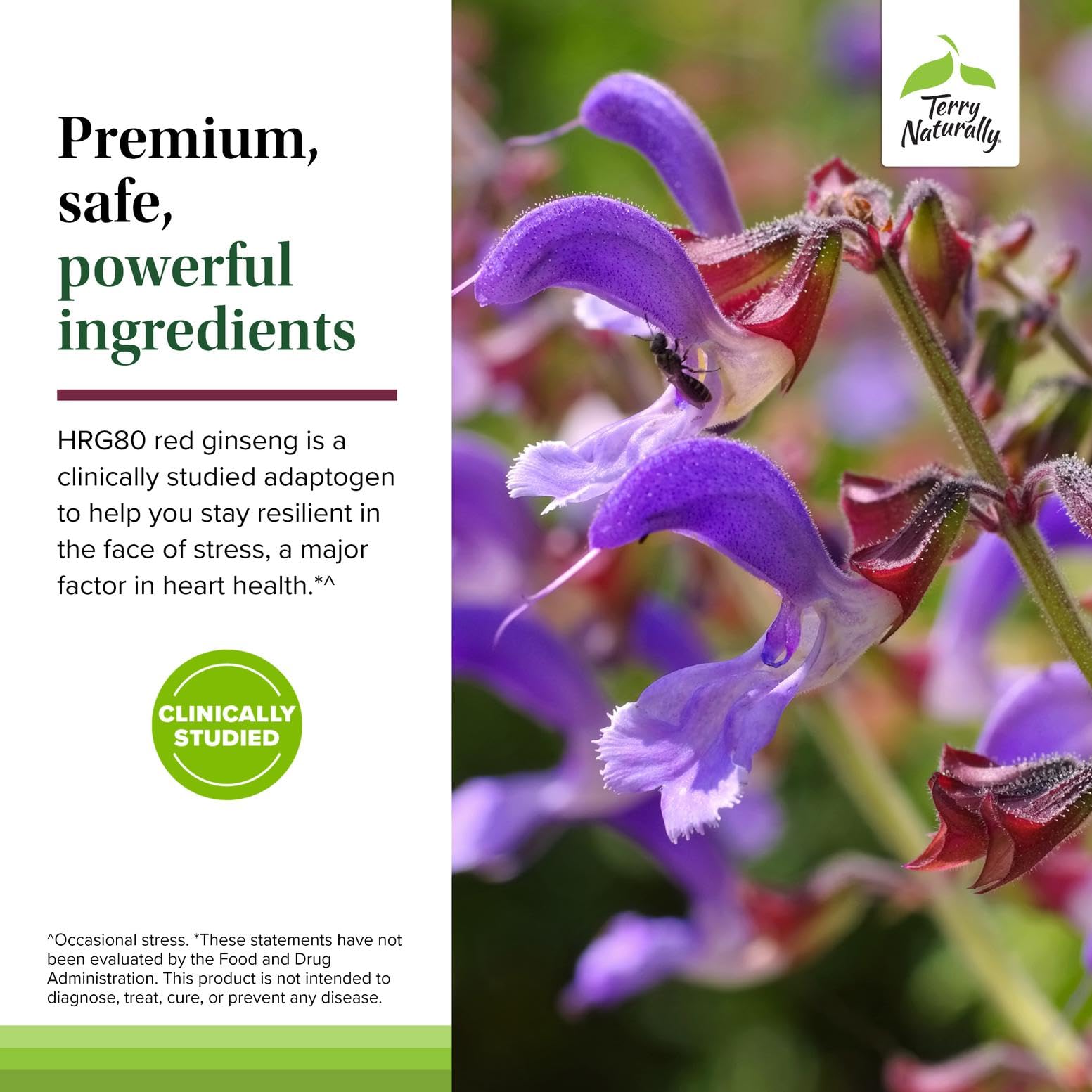 Packaging of Terry Naturally Red Sage Plus showing box and label details.