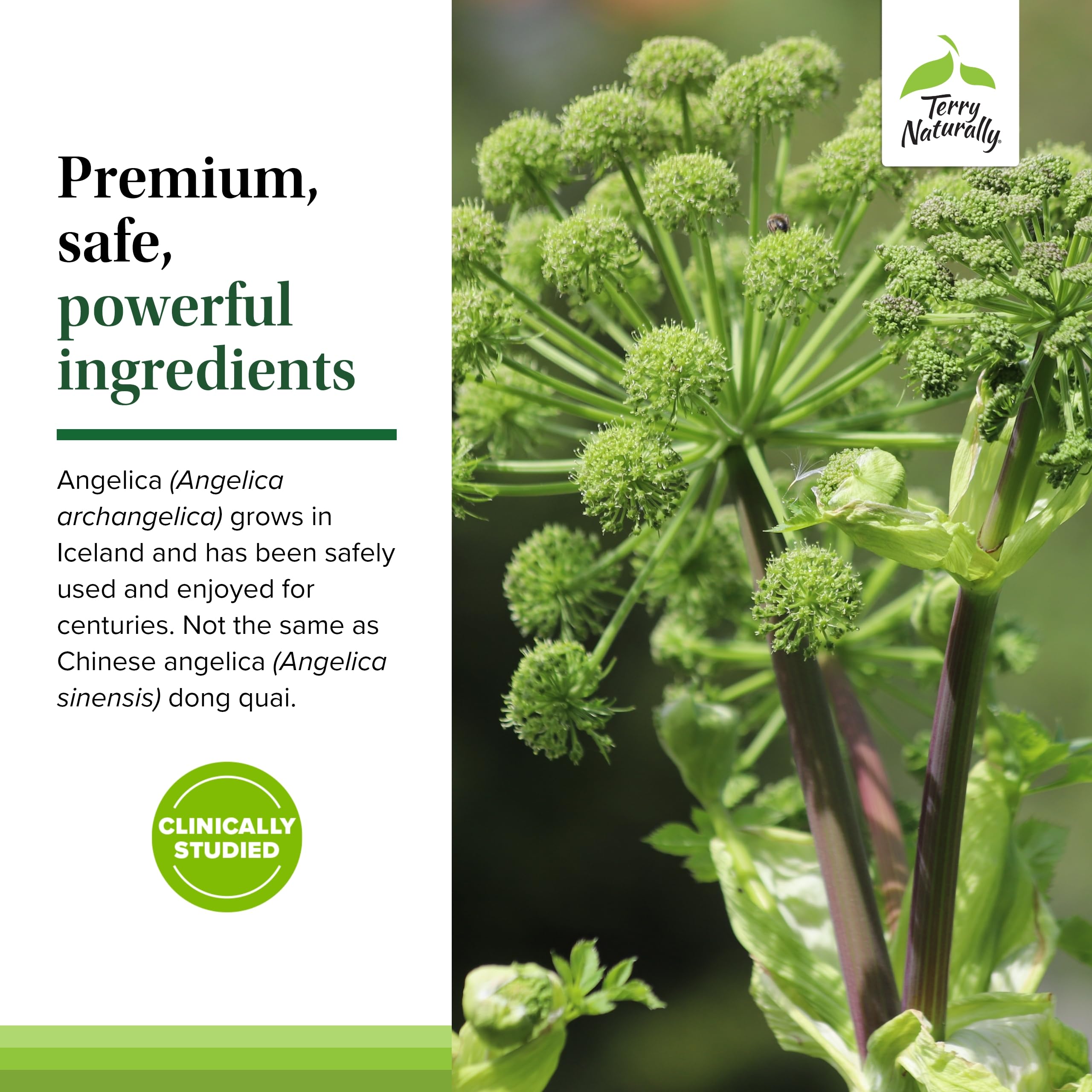 SagePro Bladder vegan capsules suitable for daily use