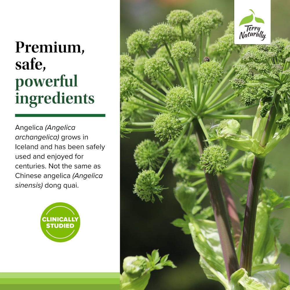 SagePro Bladder vegan capsules suitable for daily use