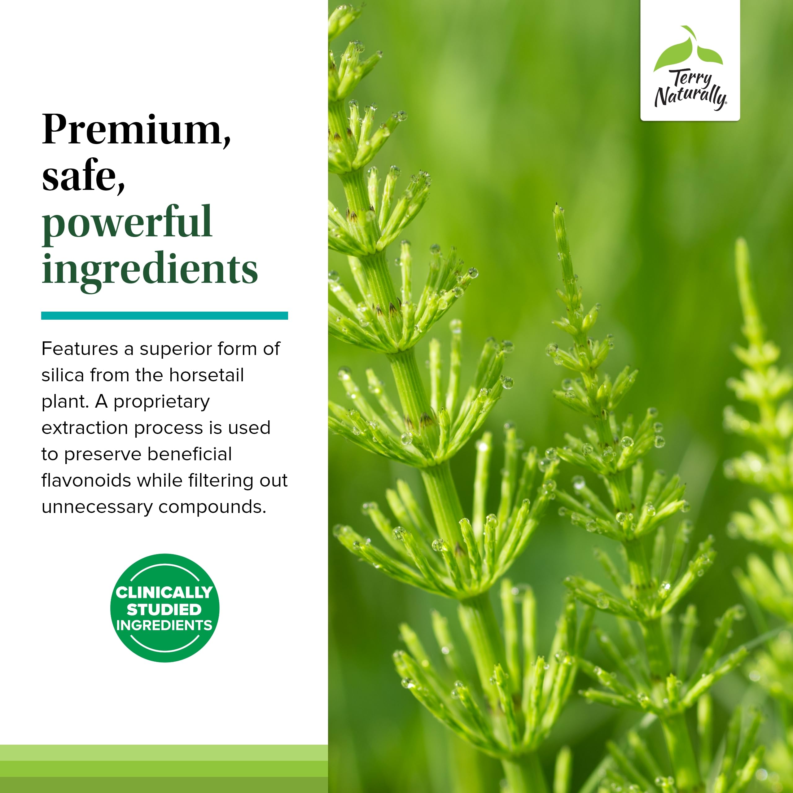 Silica-20 tablets in hand, a convenient addition to a skincare routine.