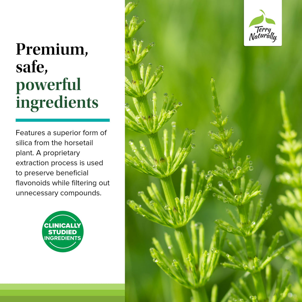 Silica-20 tablets in hand, a convenient addition to a skincare routine.