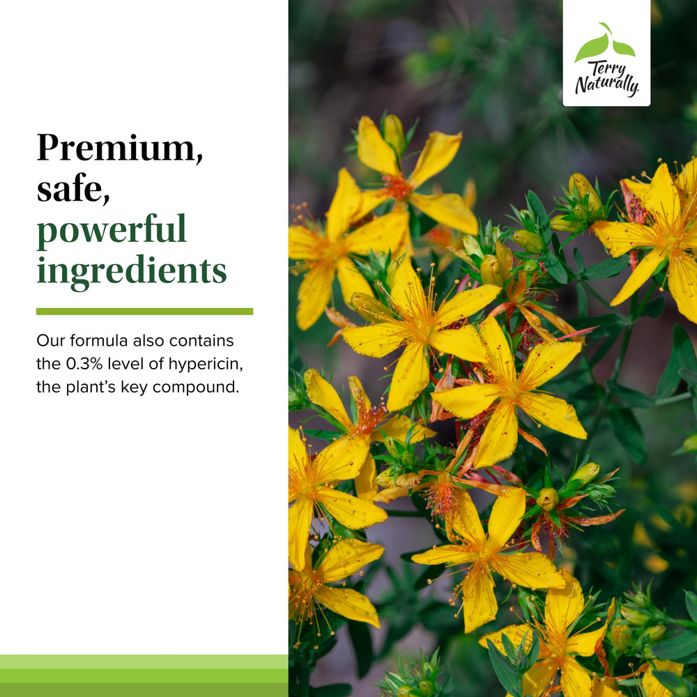 Clinical-strength extract with 0.3% hypericin preserves strength for 24 hours.