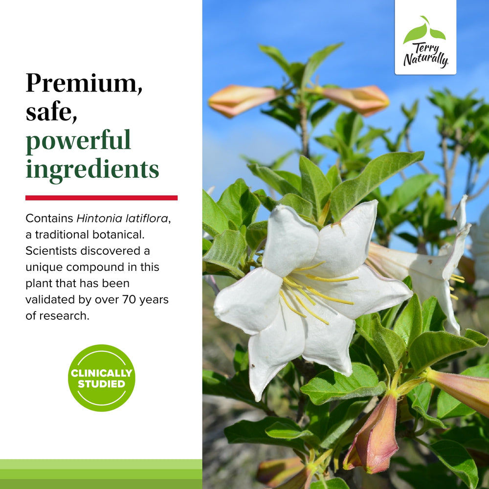 Terry Naturally Sucontral D vegan capsules in bottle on shelf.