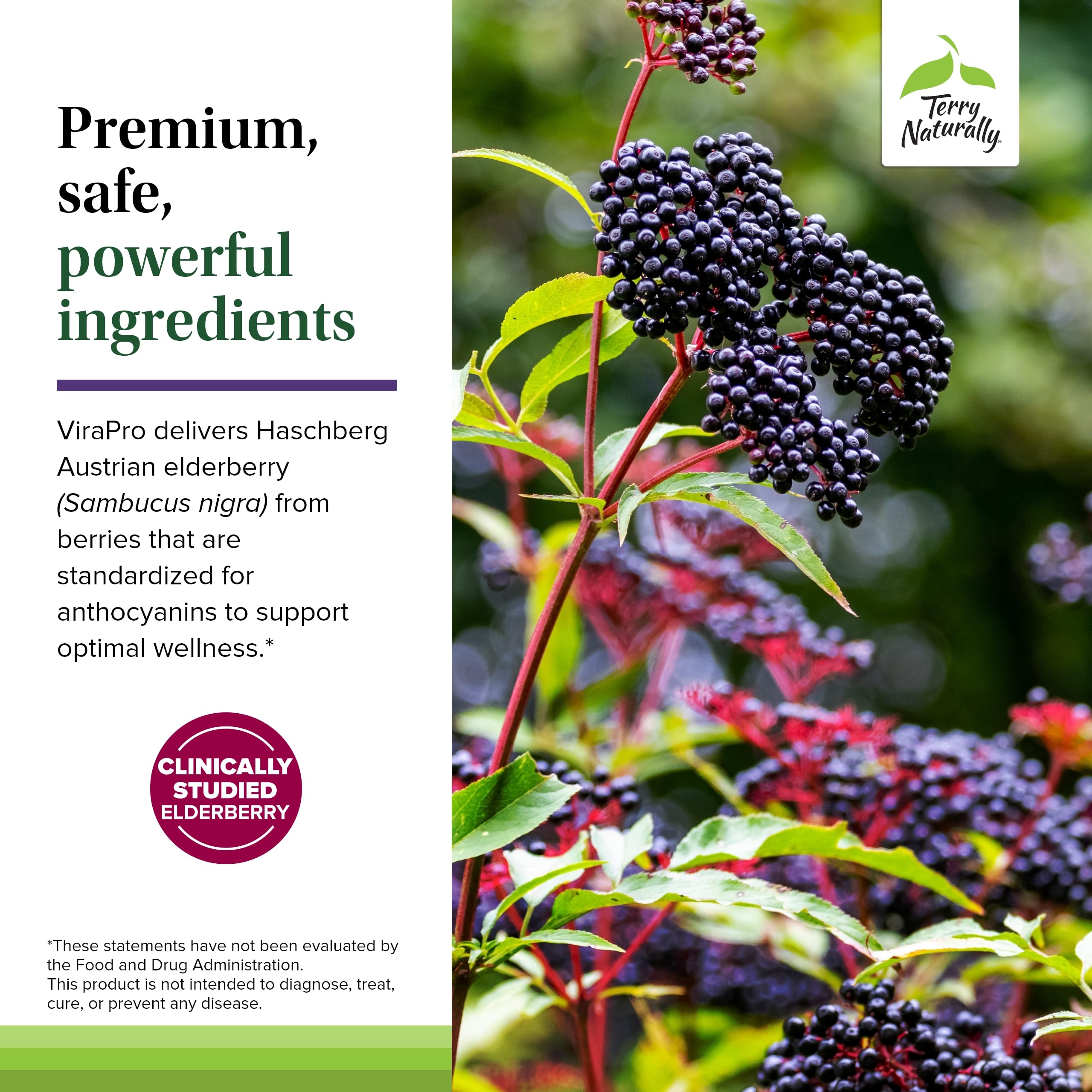 Terry Naturally ViraPro packaging in a lifestyle scene promoting daily wellness.