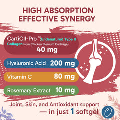 Tervaies Cartii Pro Type II collagen capsule close up supports cartilage health